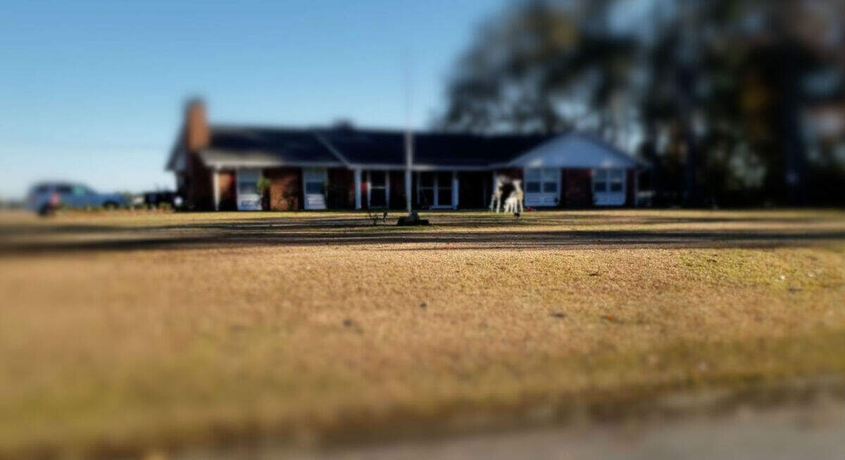 A photo illustration of the Weed Family where Susan (Weed) Neal ran to on Jan. 5, 1980 after her boyfriend was murdered and she was sexually assaulted at Lovers’ Lane.