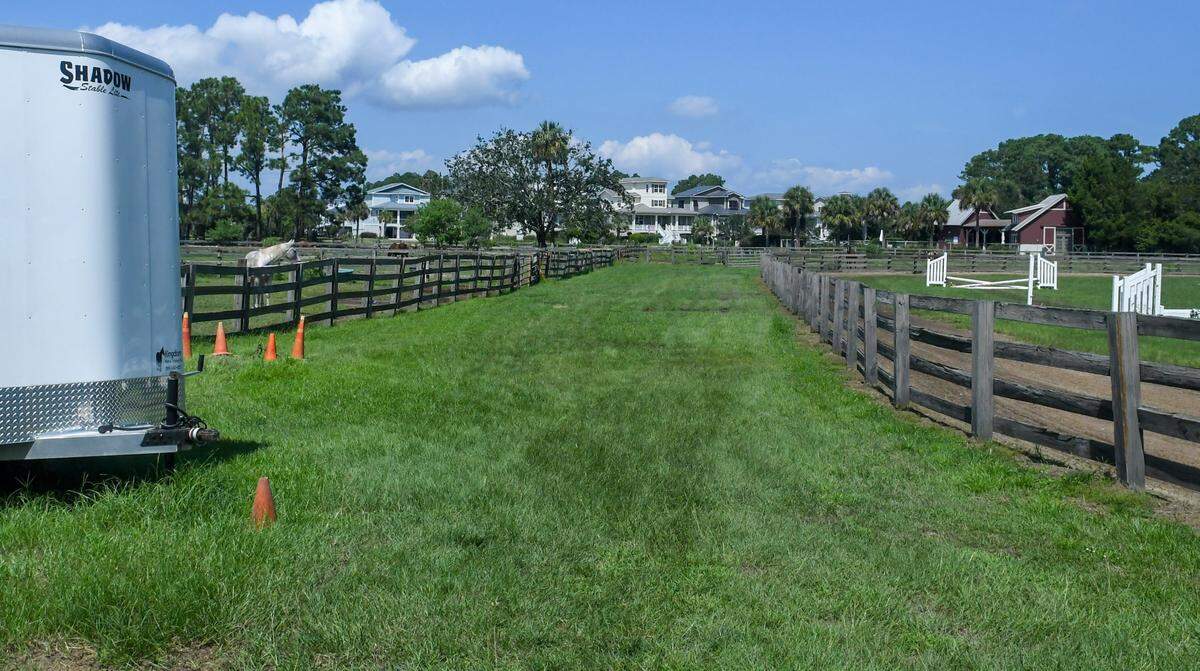 Homes in The Paddock on Jarvis Creek neighborhood surround Driftwood Stables as horses graze on Tuesday, Sept. 13, 2022 on Hilton Head Island. The landowner is rezoning the land residential, giving Driftwood Stable and their horses 60 days to find a new home.