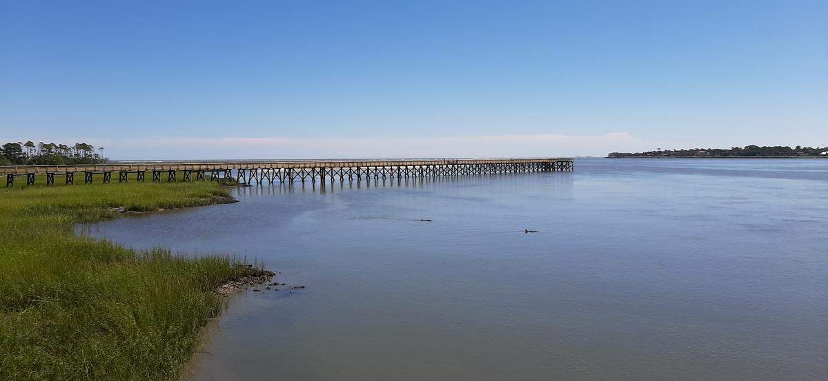 Dolphins feed near the shoreline at Hunting Island State Park near the fishing pier, which reopened last Saturday after undergoing $955,000 in repairs to fix damage caused by Hurricane Matthew in 2016.