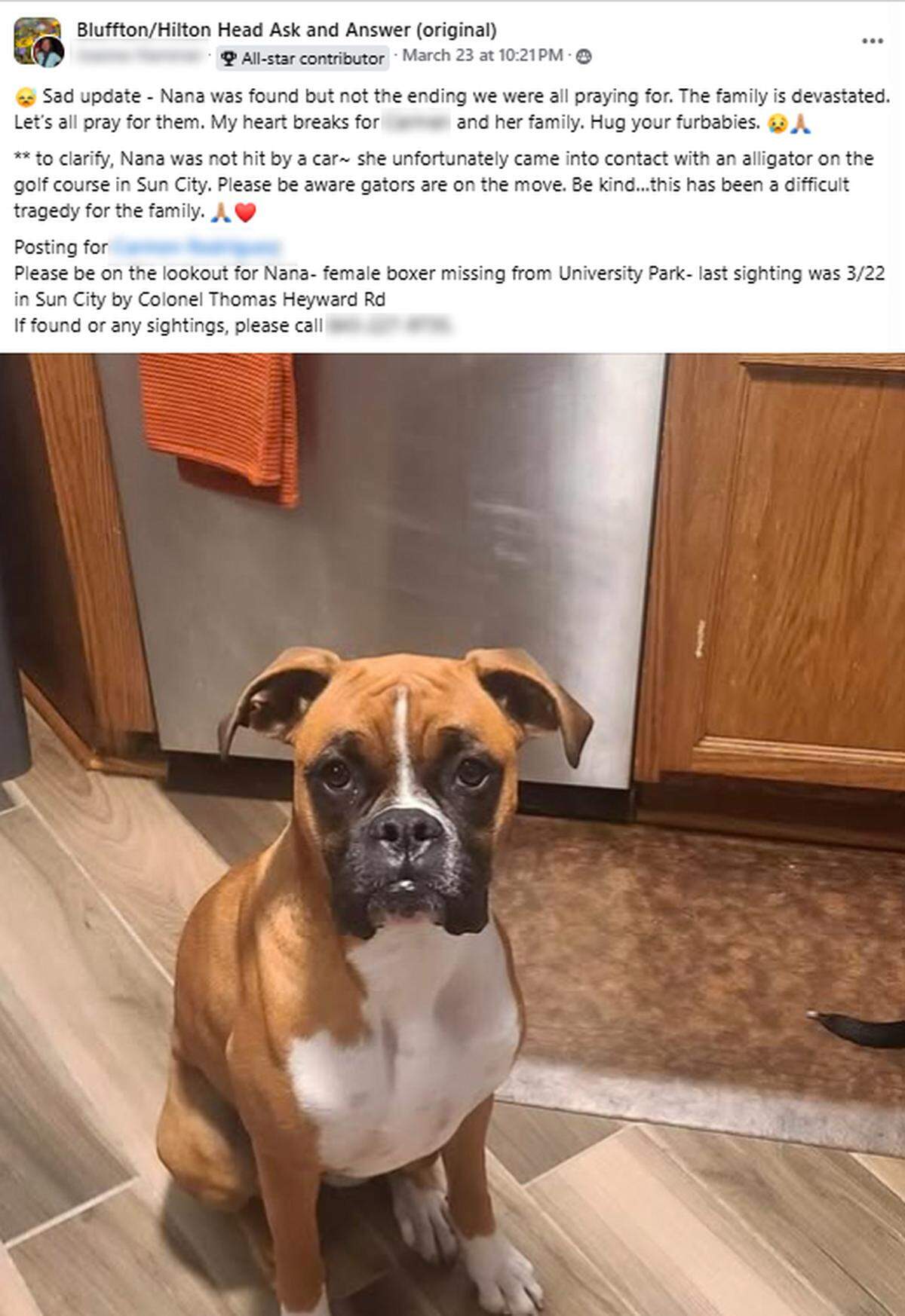 A Facebook post updated March 25, 2025, in a local group for the Bluffton and Hilton Head Island area said a resident’s boxer “Nana” had been killed by an alligator after the dog went missing near Sun City.