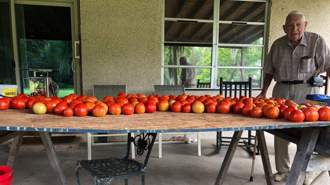 “Everybody likes them”: Hardeeville veteran’s tomato stand keeps people coming back