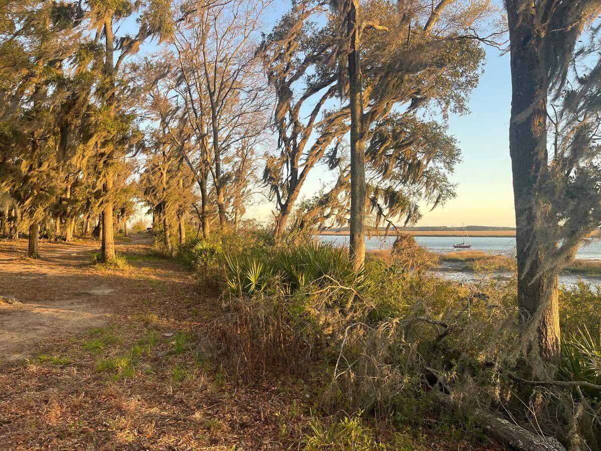 Besides a new marina, a few hundred units of housing are planned as part of a waterfront development in Port Royal.