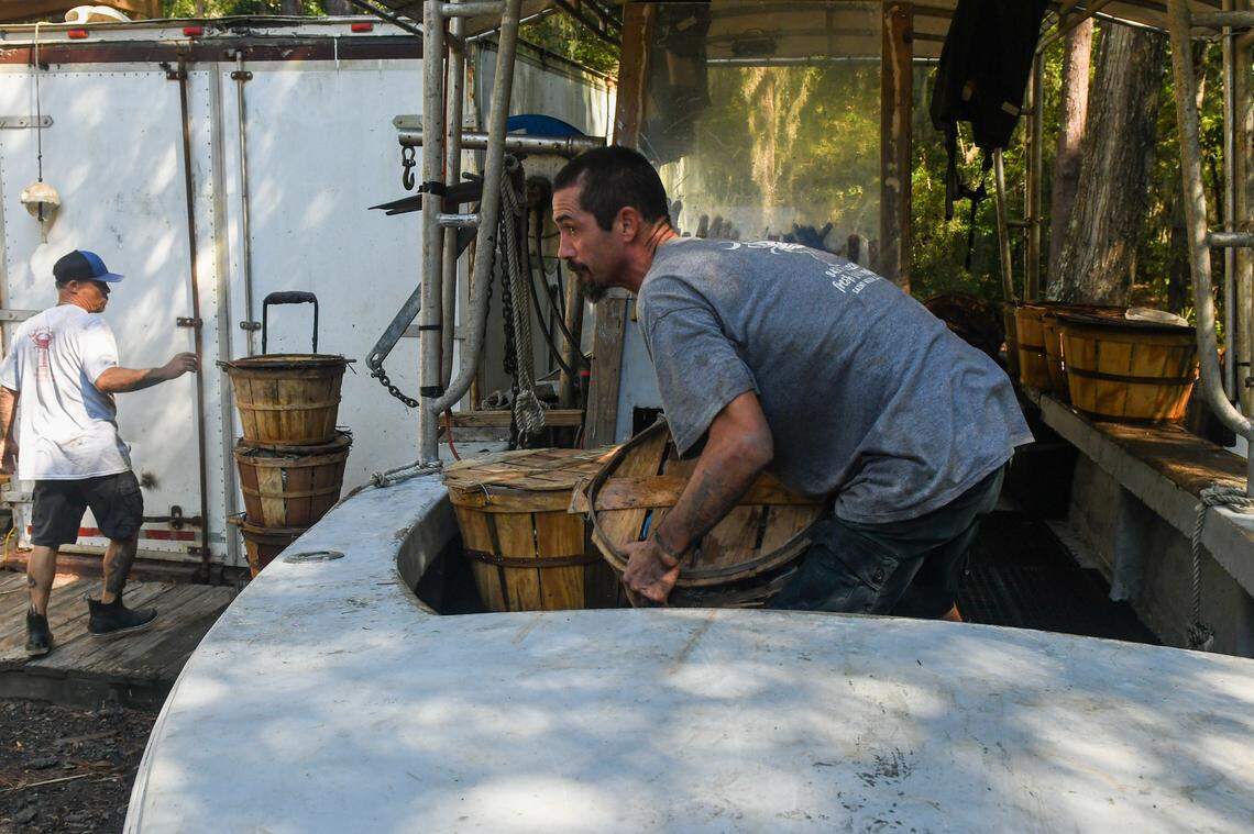 Lee ‘Lucky’ Alewine, left, prepares to refrigerate their blue crab catch at Rusty Crabs on Sept. 20, 2024, as William Beveridge moves bushels of crabs from the boat to be sold to a vendor on St. Helena Island. The crabs can live for several days out of the water while they wait to be sold.