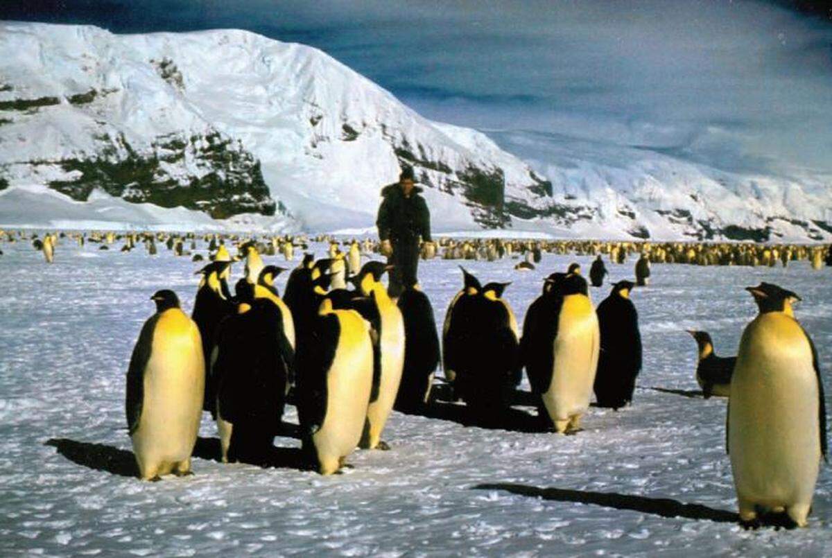 Then-Maj. Joseph Dobbratz Jr. stands with a group of emperor penguins while participating in exploratory and research missions as part of Operation Deep Freeze in Antarctica.