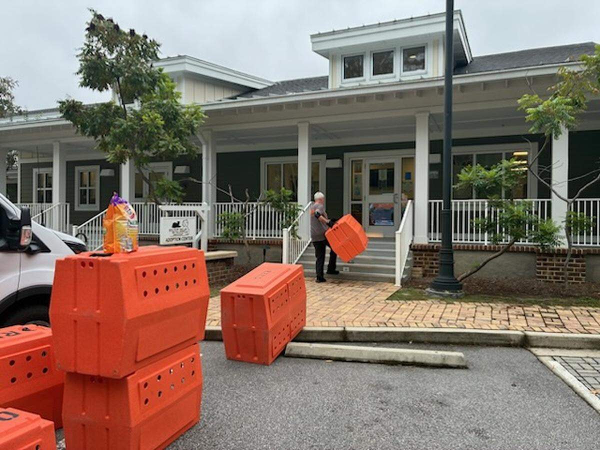 ASPCA transporting 69 cats from Hilton Head Humane to Ohio in preparation for Hurricane Imelda that was initially anticipated to impact the Lowcountry in September 2025.