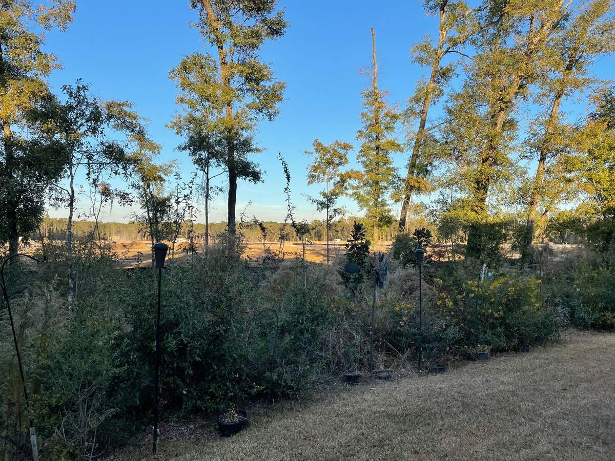 Remaining treeline at The Landings after construction