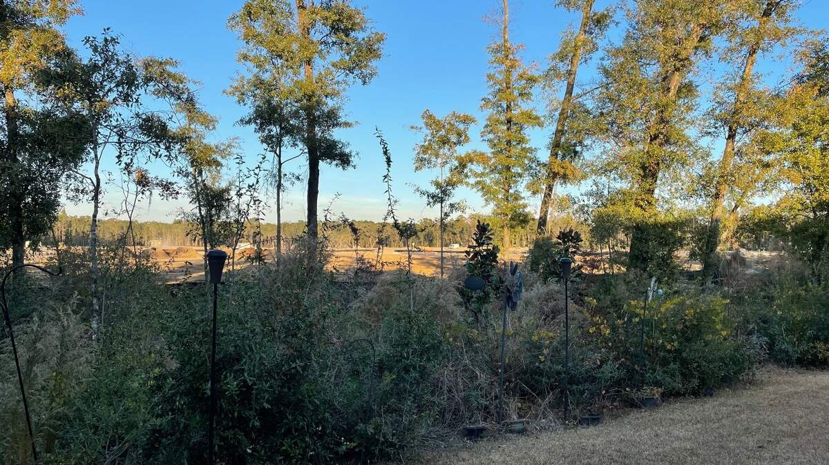 Remaining treeline at The Landings after construction