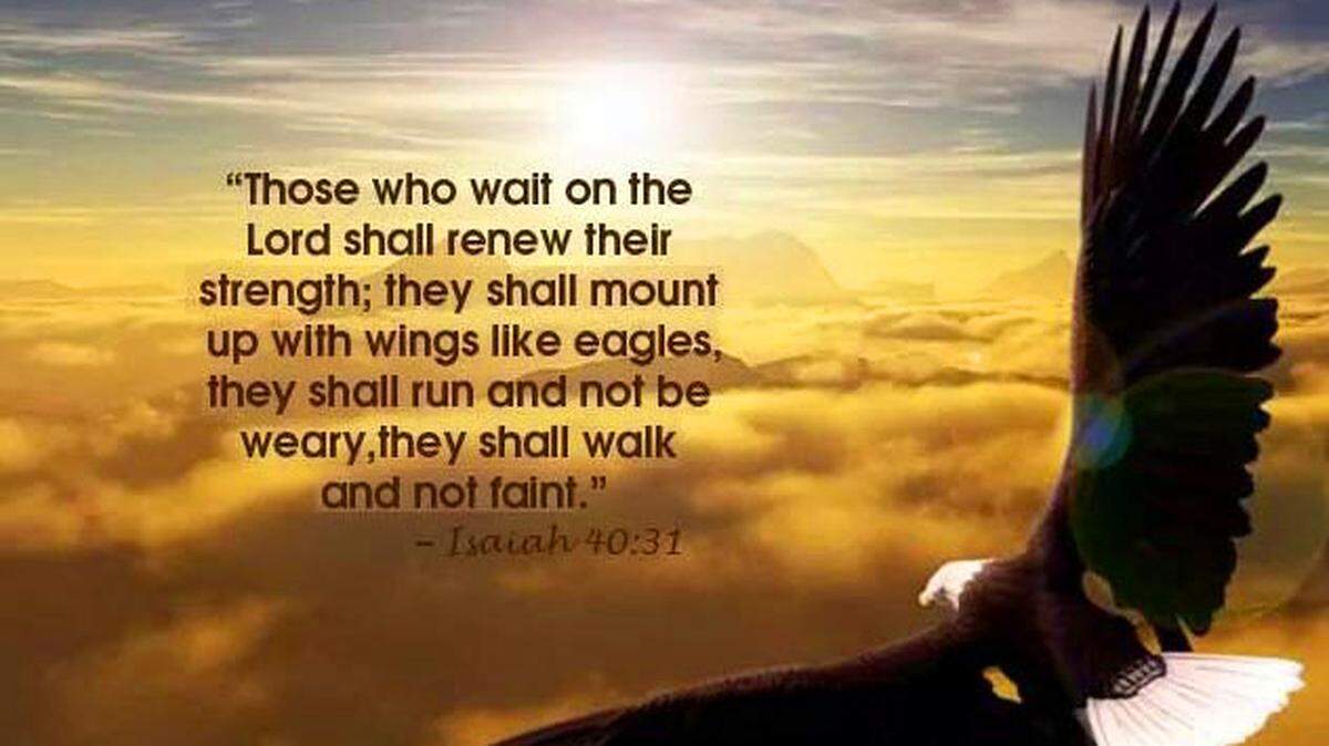 Jean’s eagle sunrise scripture.