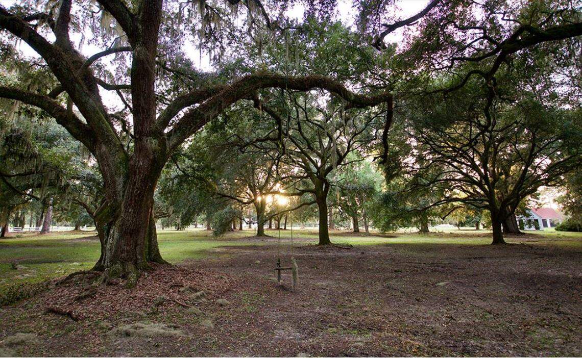 The Twickenham Plantation property is more than 2,500 acres.