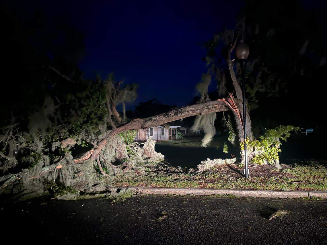 Tree down off of Ribaut Road on Friday morning, Sept. 27, 2024, after Helene rattled Port Royal, South Carolina.