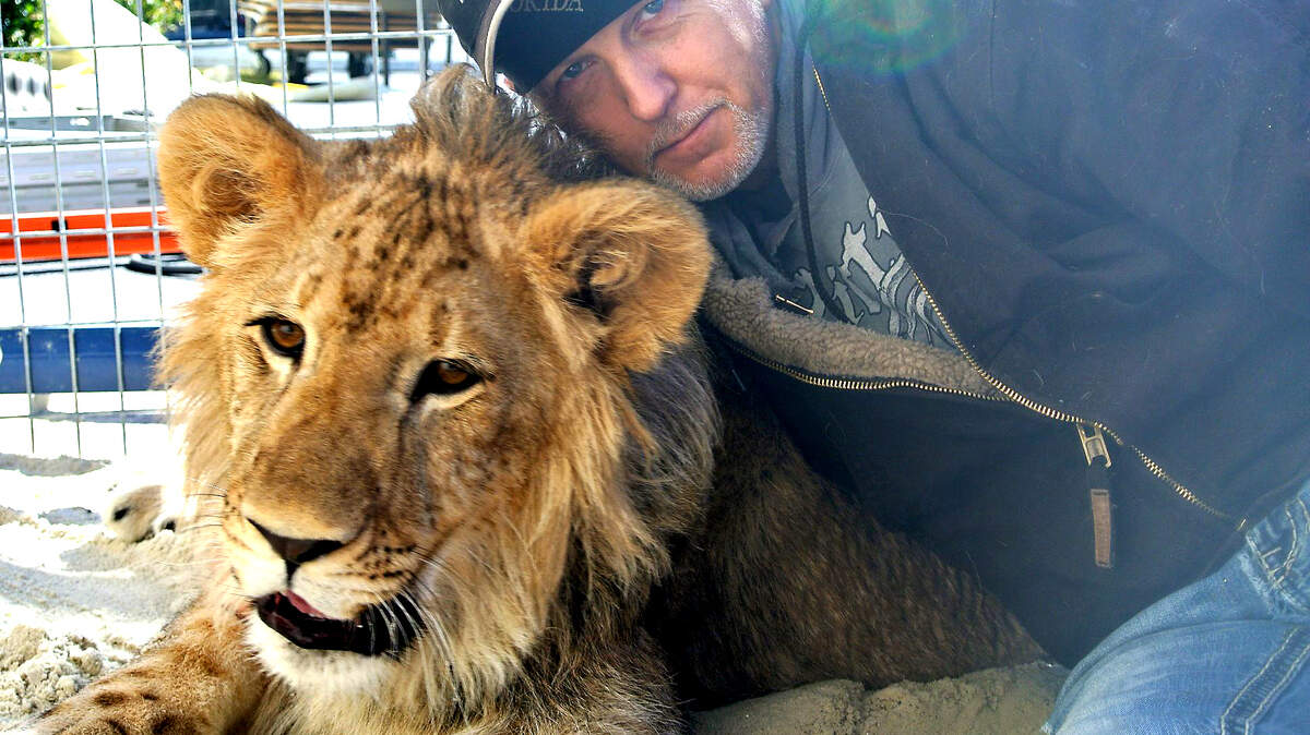 Pictured in this photo from Beaufort Liquidation's Facebook page shows owner Jeff Lowe with a lion. Beaufort Liquidation, after a year of being closed, is looking to reopen Saturday with a flea market, retail store, pet store and several large cats.
