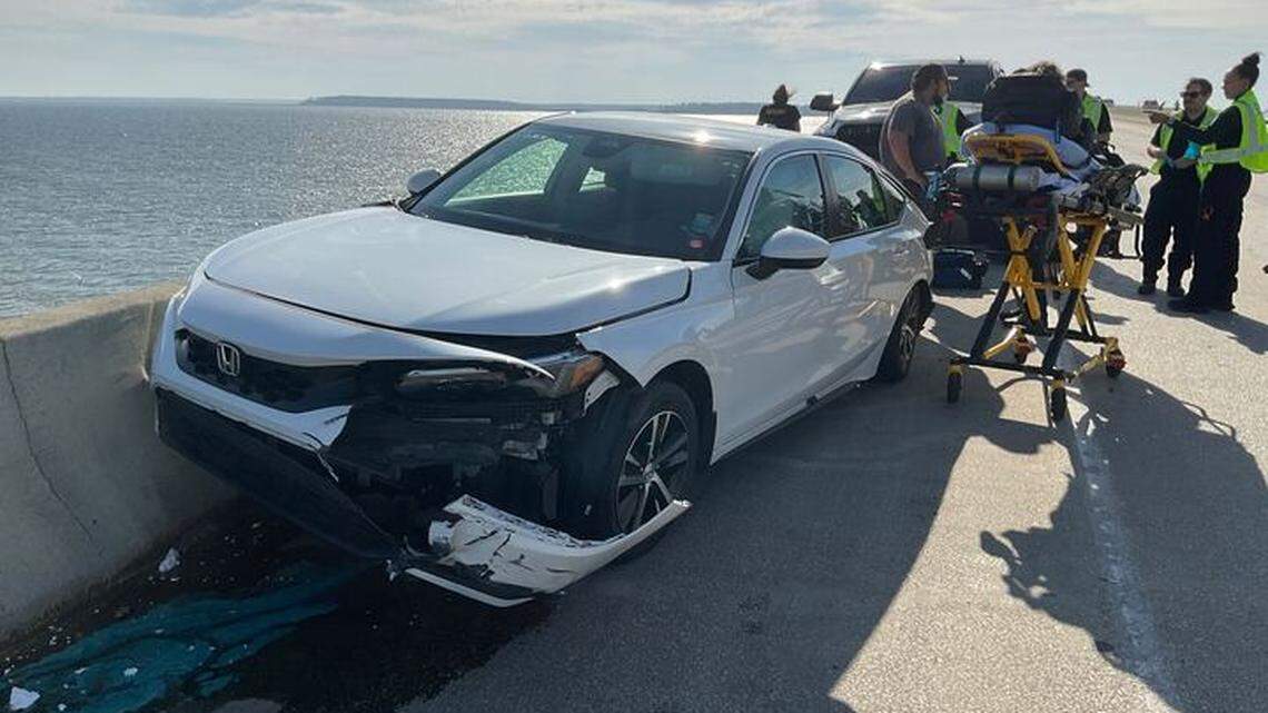 Dog safe after reportedly jumping into Broad River due to mid-bridge car crash near Beaufort