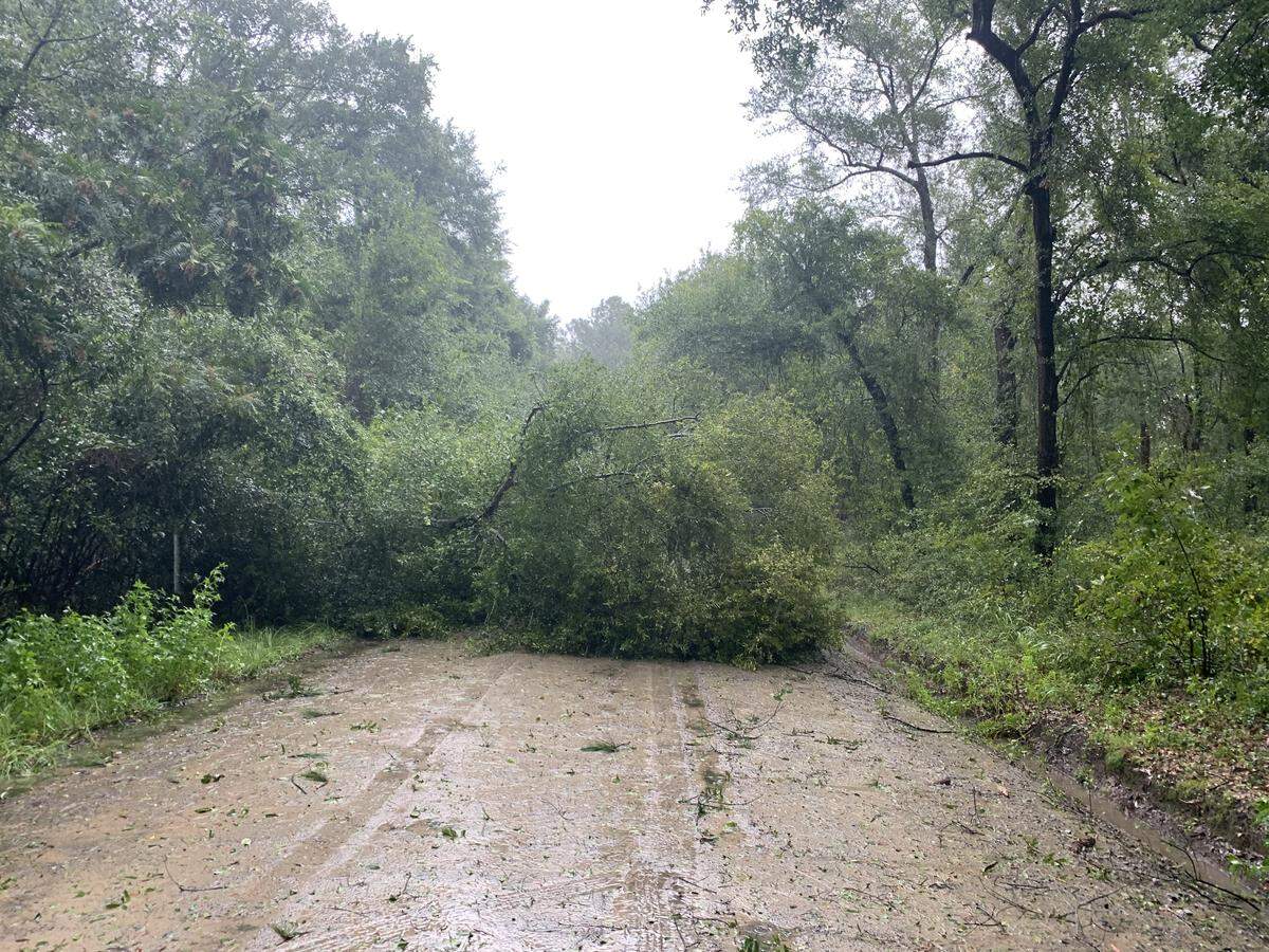 Debris found on Mitchellville Rd., Fish Haul Beach Park accessible from Baygall Rd.