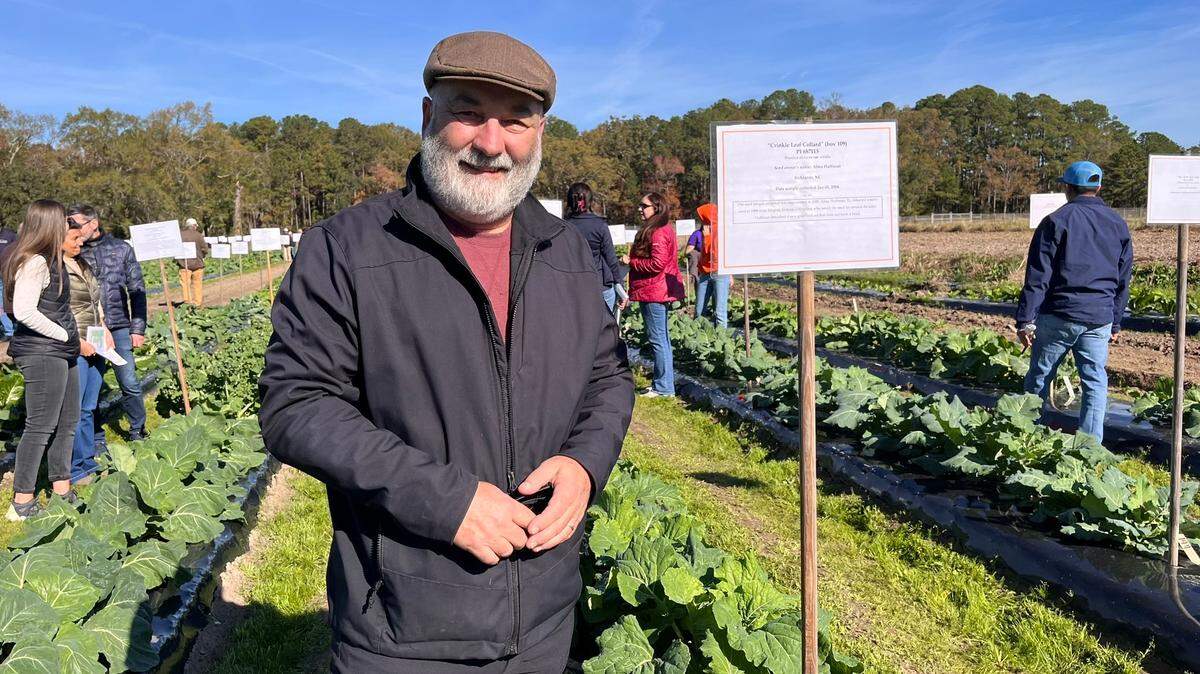 Agricultural Research Service plant geneticist Mark Farnham among the collards