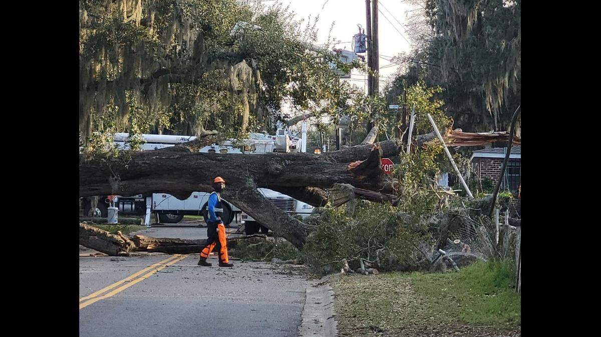 When a tree fell across Wilmington Street in Beaufort it snapped a power line and took down three power poles.