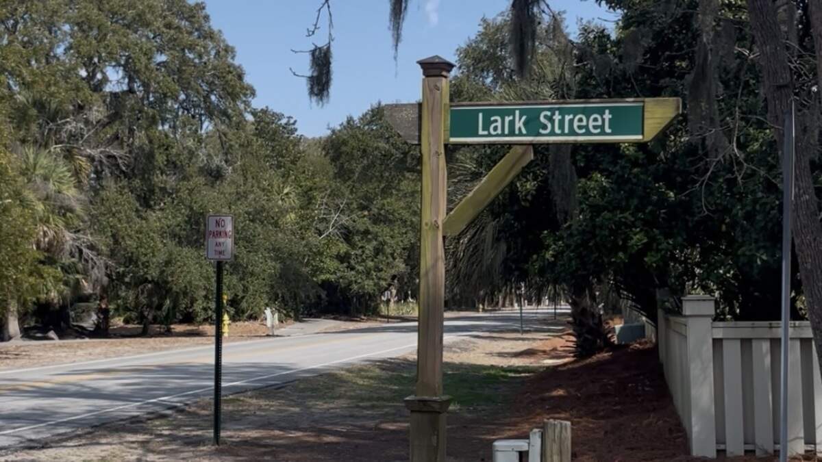 Lark Street is normally a “quiet neighborhood” said longtime babysitter Serrana Moreno.