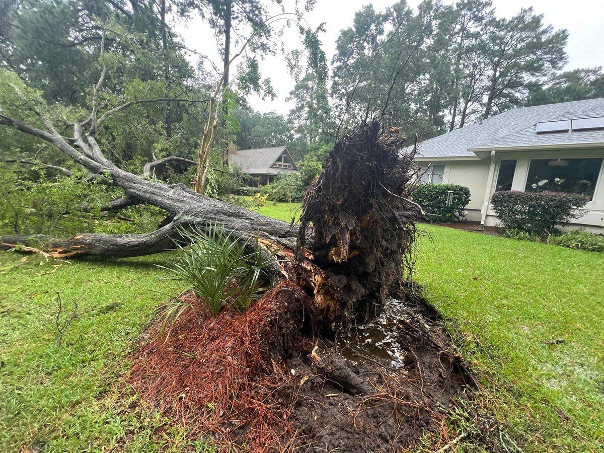 A felled tree from Tropical Storm Debby’s wake at a residence in Moss Creek on Hilton Head Island, South Carolina, on Tuesday, Aug. 6, 2024.