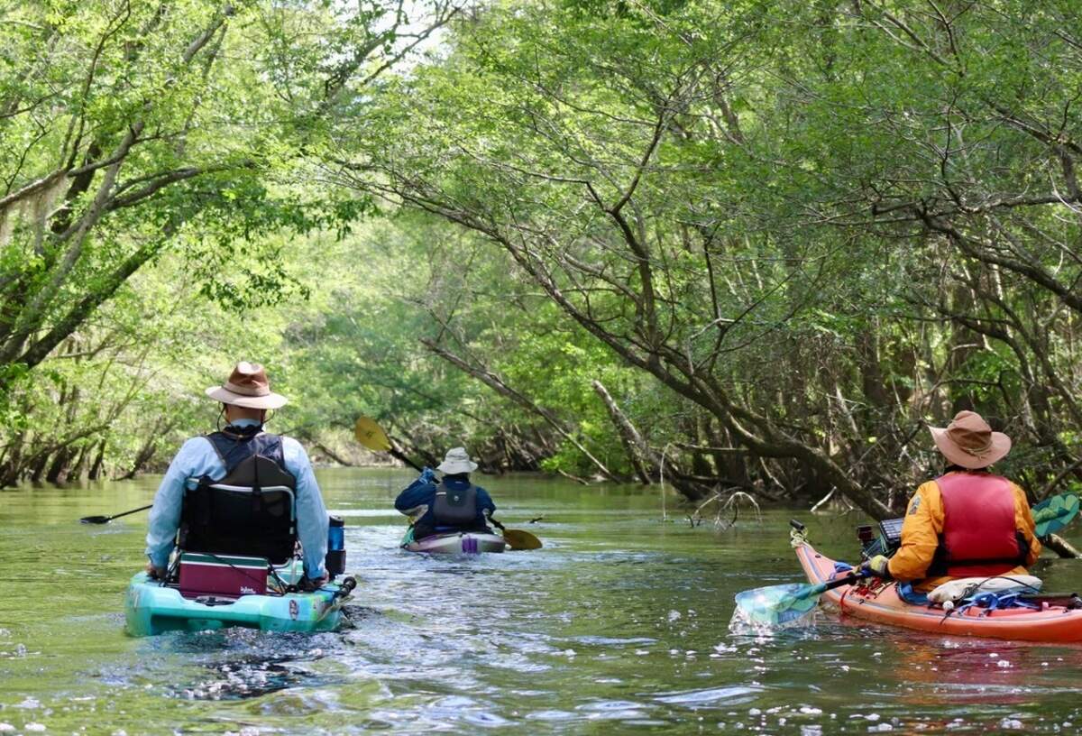 Kayakers Jim Leavell and Tom Taylor of Greenville, and Chapin Burgess of Bluffton explore a man-made canal along a quiet stretch of the Edisto River near Sullivan’s Landing.