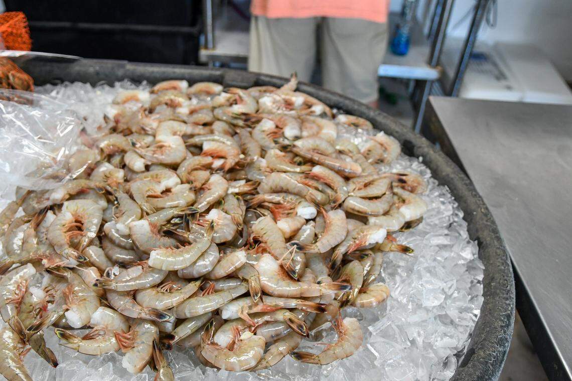 Fresh, plump shrimp were on ice at Bluffton Oyster Company at Wharf Street on June 4, 2024, in Old Town Bluffton. 