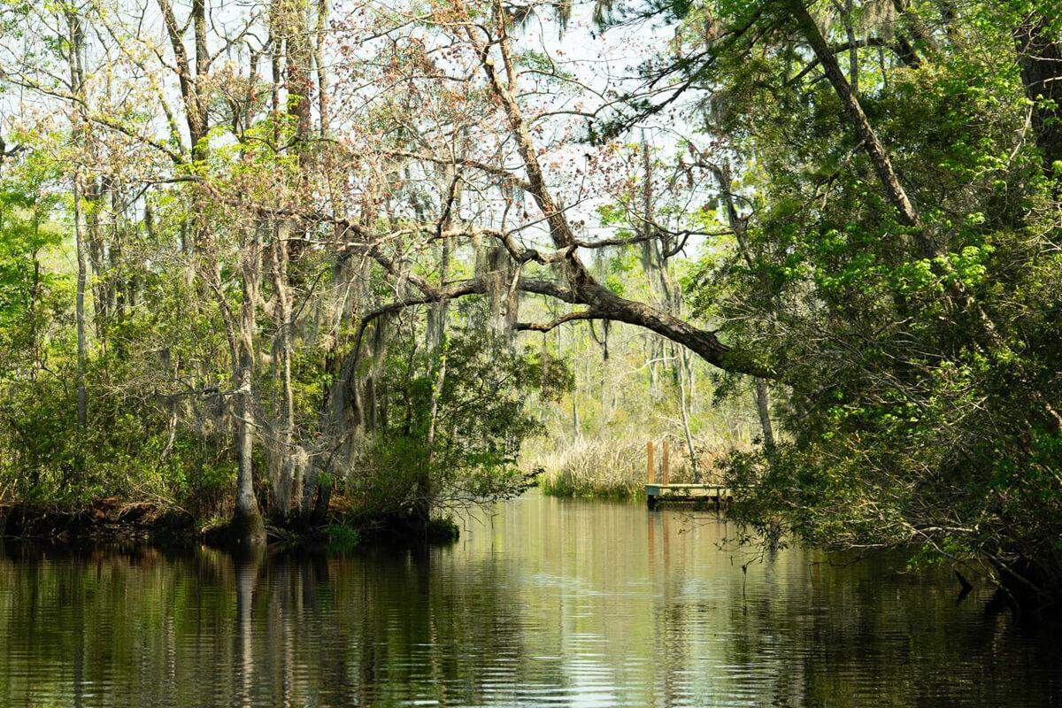 Old Combahee Plantation