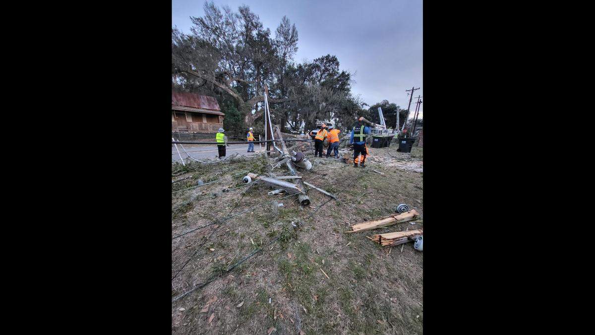 When a large tree came down in Beaufort Monday, it took three power poles with it.
