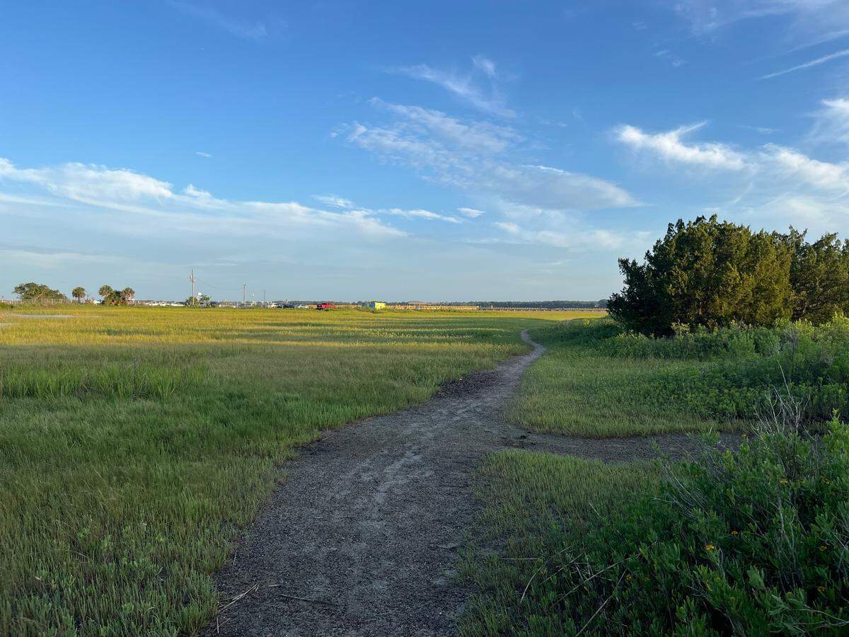 Part of the redevelopment of the Port Royal waterfront includes an promenade through the marsh.
