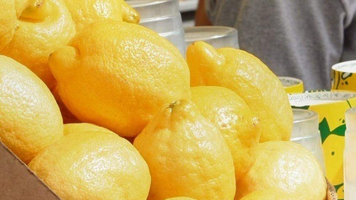 GOP women to offer lemonade at Water Fest
