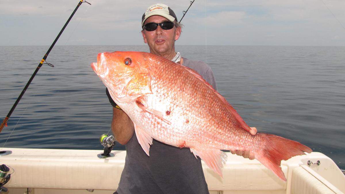 Big snapper like this are common around here except on days when you can keep one!