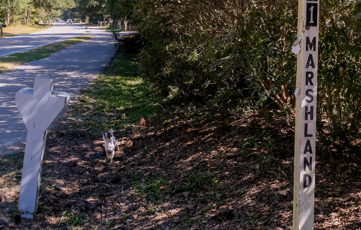 A small dog howls at a photographer on Wednesday, Oct. 20, 2021 at the entrance to Rollers Trailer Park off Marshland Road on Hilton Head Island. The owner plans to redevelop the Broad Creek waterfront property, reducing the island’s almost non-existent affordable housing options which will likely add to the worker shortage.