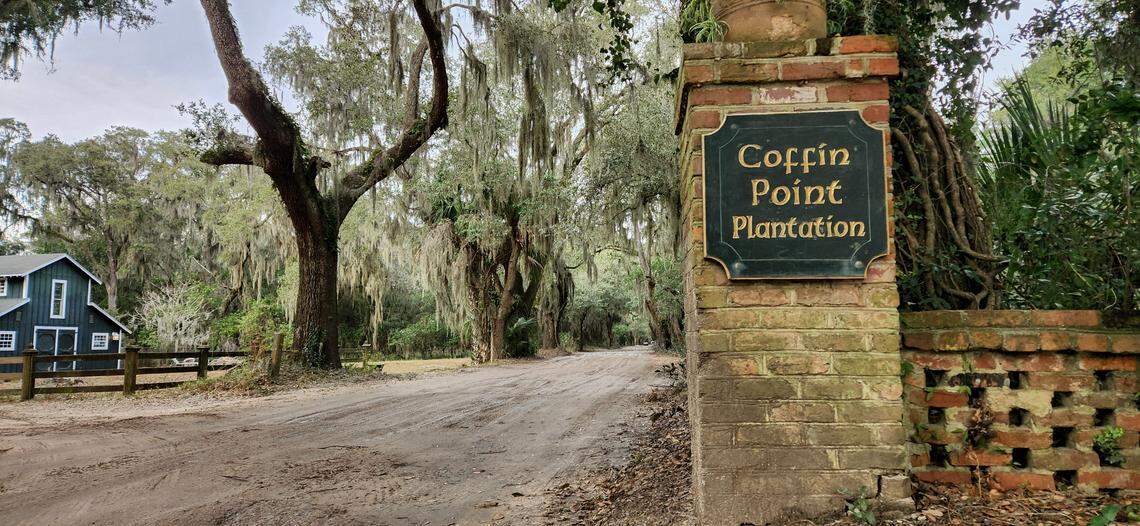 The live oak tree-lined, Spanish moss-draped unpaved-road into Coffin Point as photographed on Jan. 11, 2024, is experiencing severe coastal erosion that has been amplified with rising sea levels and the construction of seawalls of homes facing St. Helena Sound.