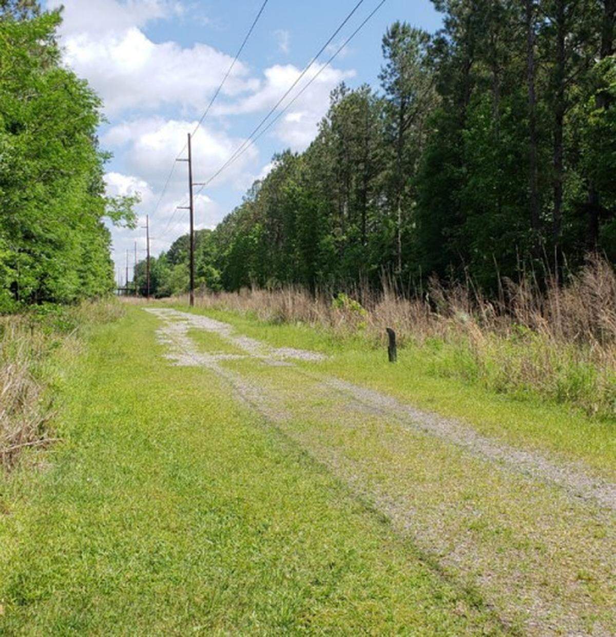 Photos from the Town of Bluffton show the Linear Trail, which will be part of the future New Riverside park.