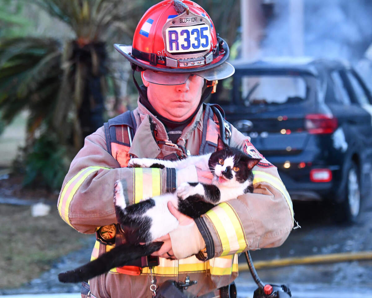 Cat saved from fire at home in Sun City Hilton Head Thursday, according to fire officials.