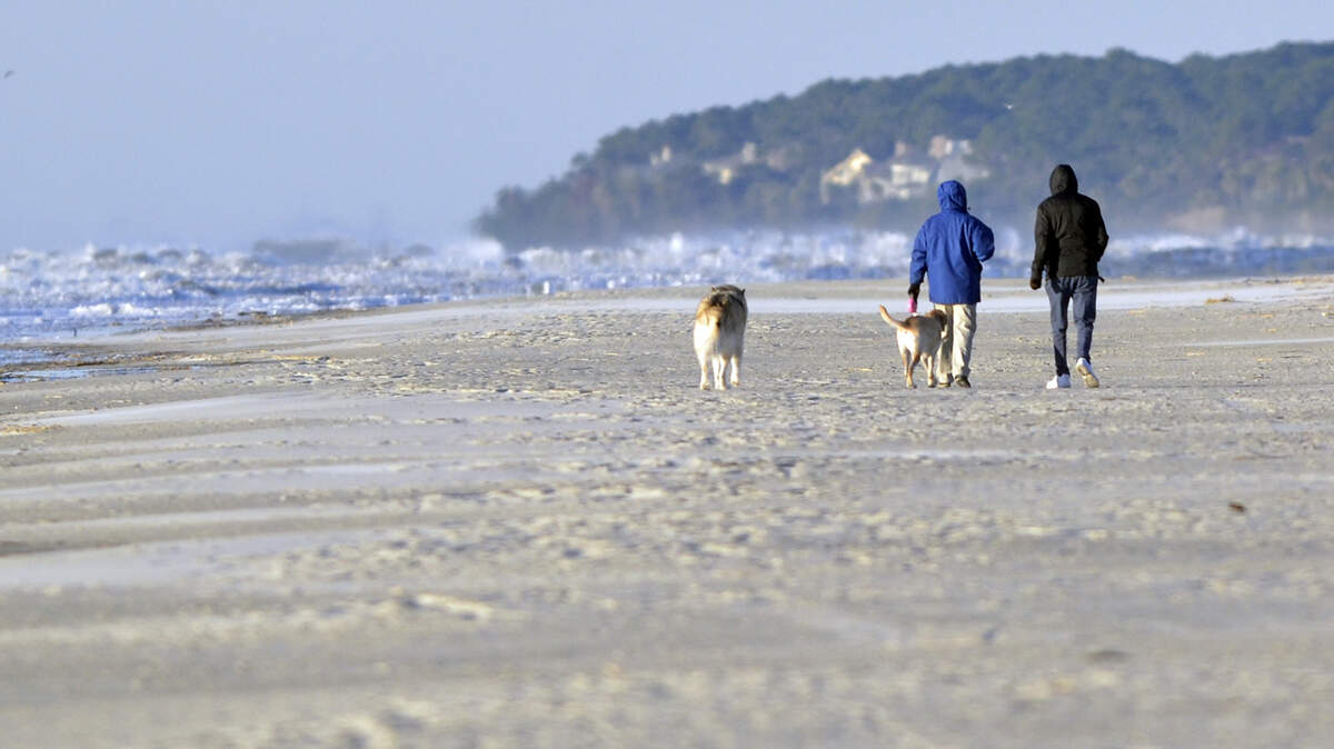 Early morning dog walkers are seen bundled in winter gear with their pets near Coligny Beach Park on Hilton Head Island on January 8, 2014.
