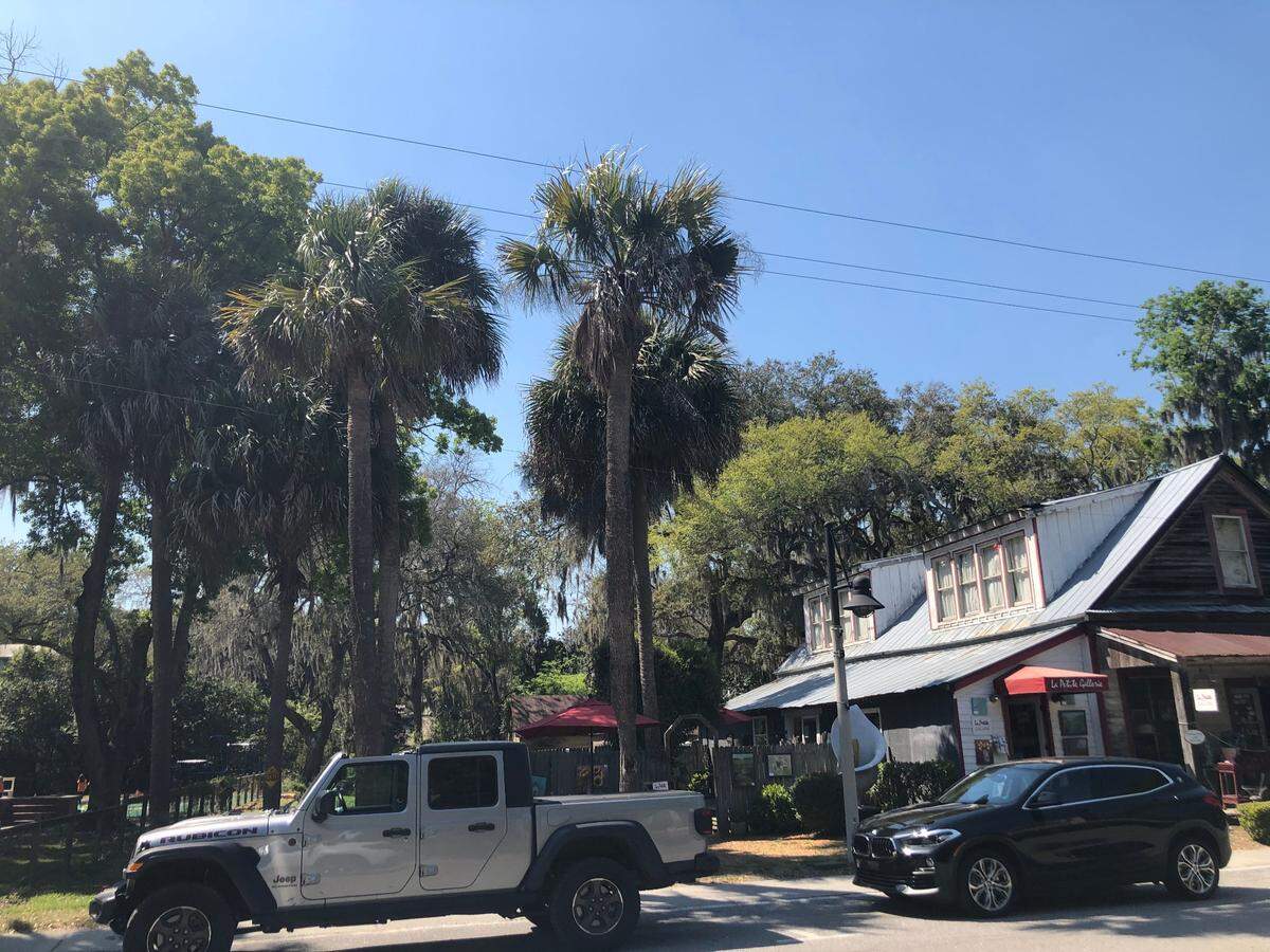 Palm trees planted 90 years ago in Old Town Bluffton to commemorate fallen World War I soldiers will removed by Dominion Energy because the trees touch electrical wires and are a risk to the public, the town said Tuesday, April 6, 2021.