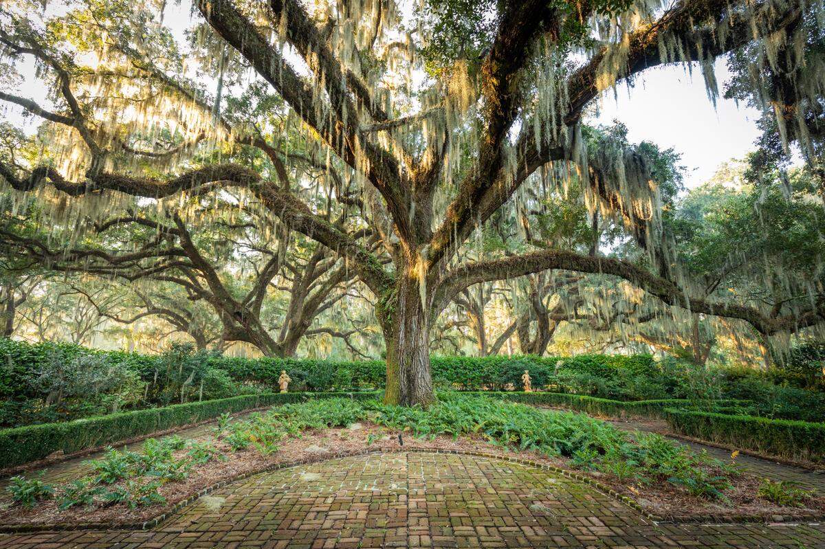 A formal garden at Bonny Hall Plantation was designed by famed Long Island landscape architect Umberto Innocenti on the east side of the main house in the 1930s.
