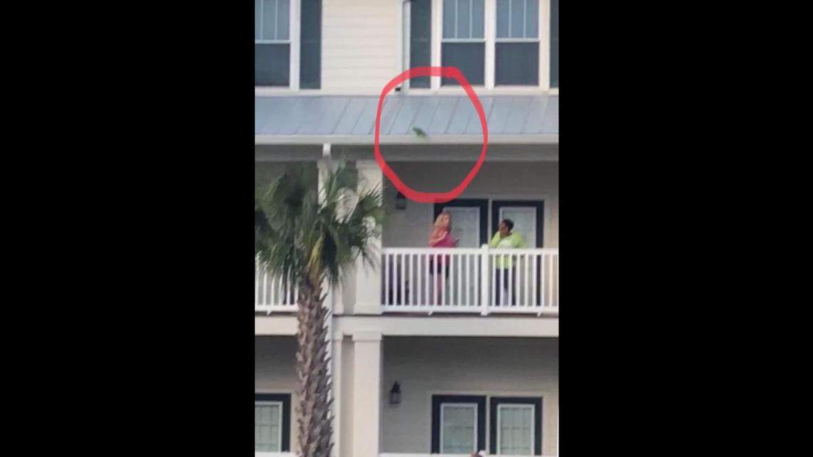 Not kidding: Beaufort fire dept. rescued parrot stuck on roof saying ‘crackers’ Friday