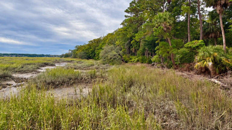 2 famous Hilton Head properties saved from development. Here’s what it cost you