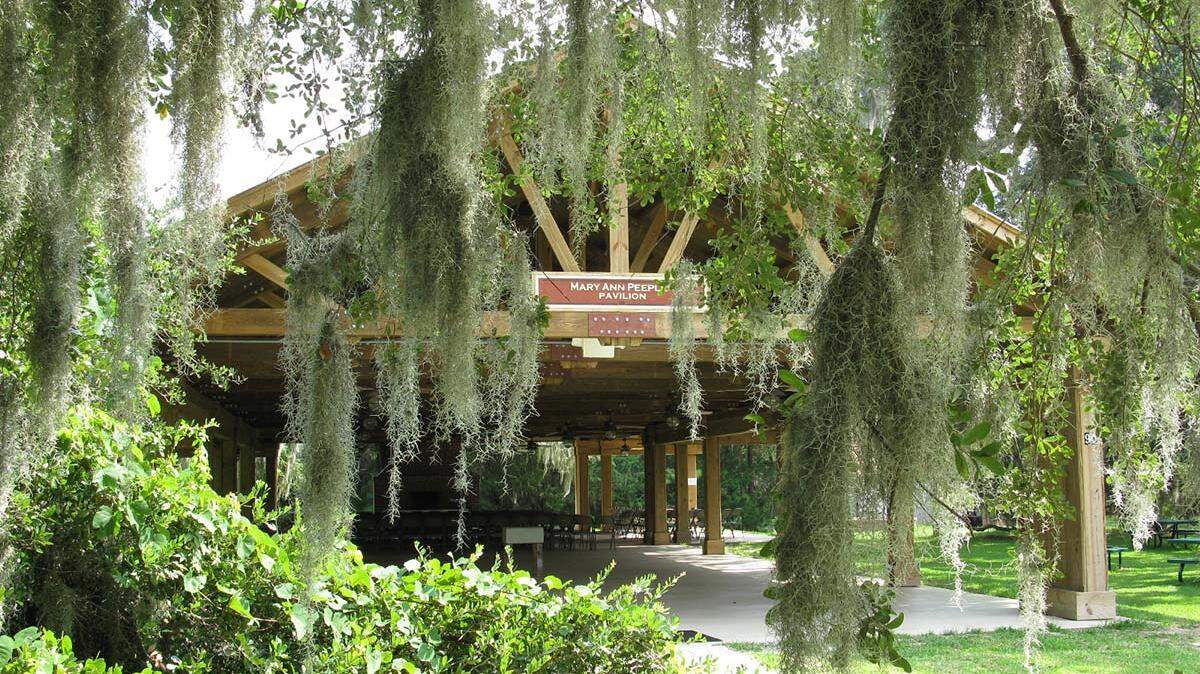 The Mary Ann Peeples Pavilion is one public asset on the Town of Hilton Head Island’s 70-acre Honey Horn tract that is home to the Coastal Discovery Museum.