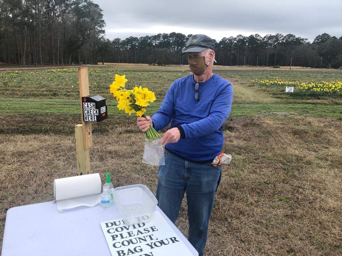 Chuck Merrick demonstrates how customers will be able to bag and tie up their own flowers after picking them.