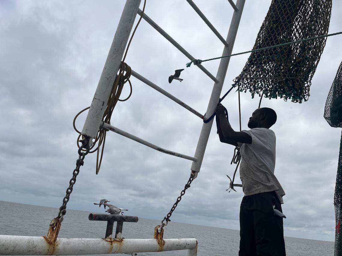 Rodney Brown secures a net as seagulls circle.