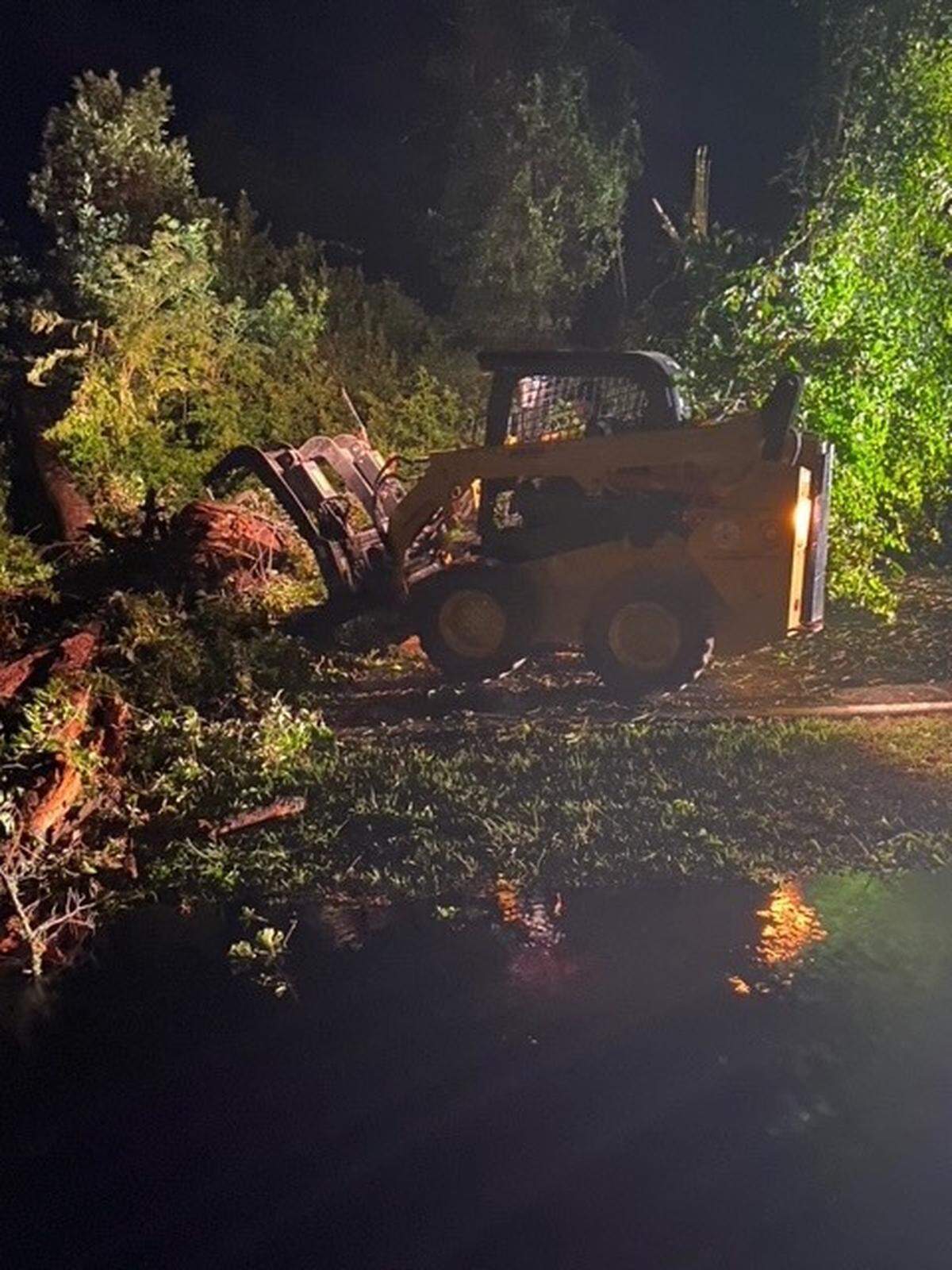 Tree damage was reported near Folly Field Beach on Hilton Head Island after Tropical Storm Elsa hit the area in July 2021.