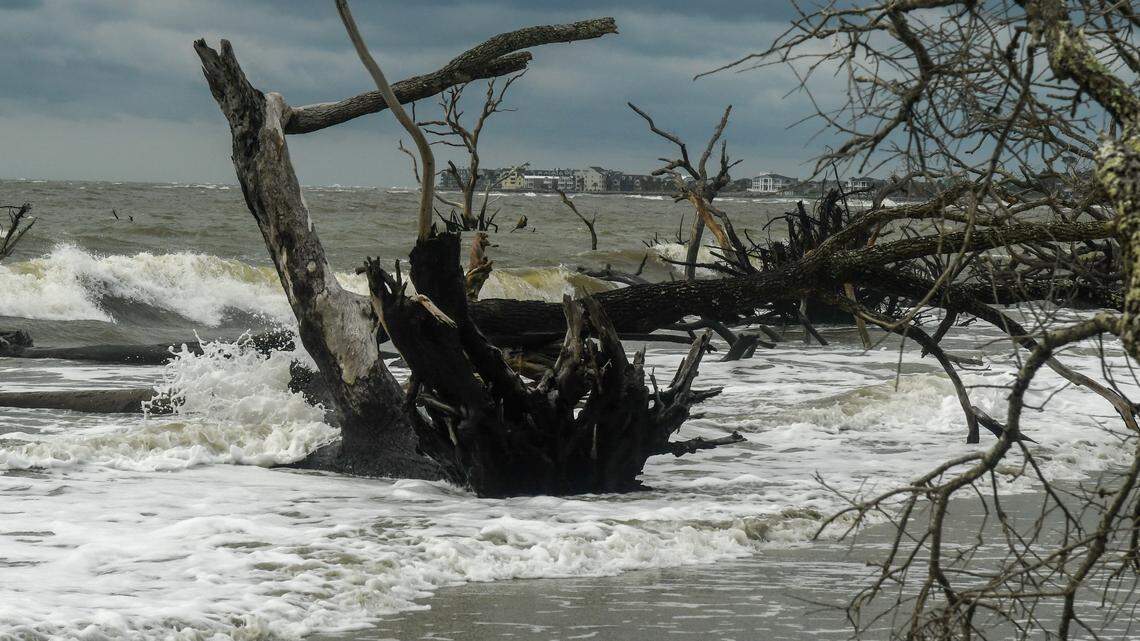 Hunting Island State Park to close due to Tropical Storm Debby. No reopening date set