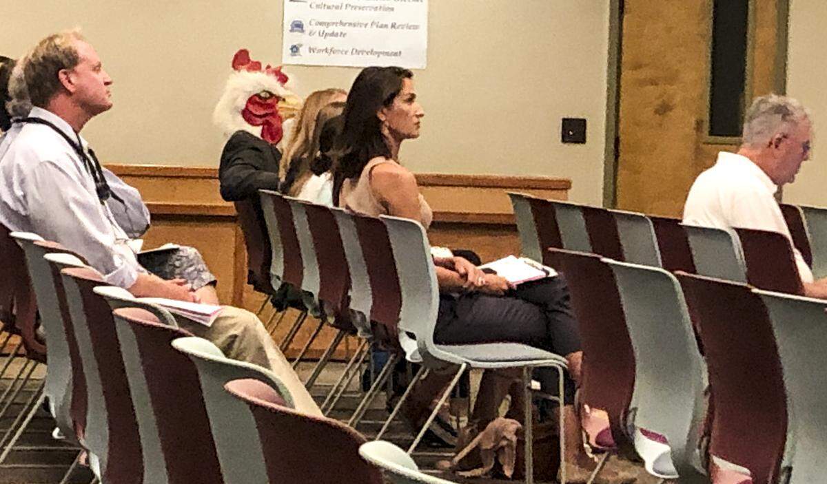 A group of Point Comfort residents, including one wearing a chicken mask, filed into the Hilton Head Island community services and public safety committee meeting Monday to advocate for speed humps in their neighborhood.