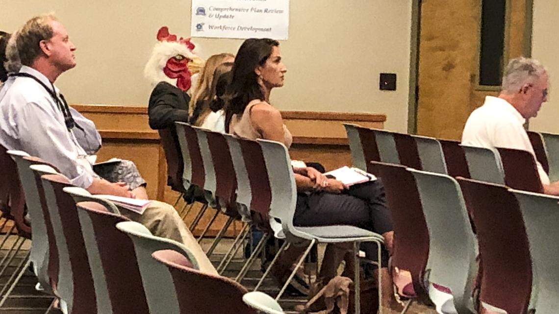 Could a man in a chicken mask have stopped Beaufort Co. river from turning fluorescent green? | Opinion