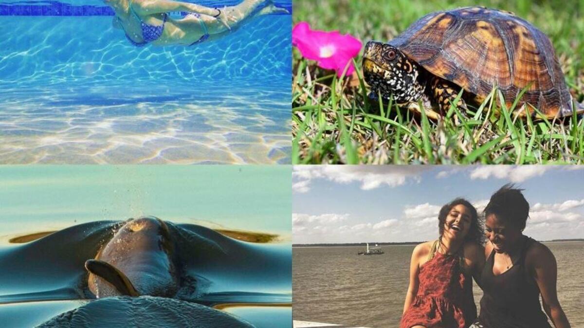 Here are some of the best Instagram posts from Beaufort County this week.