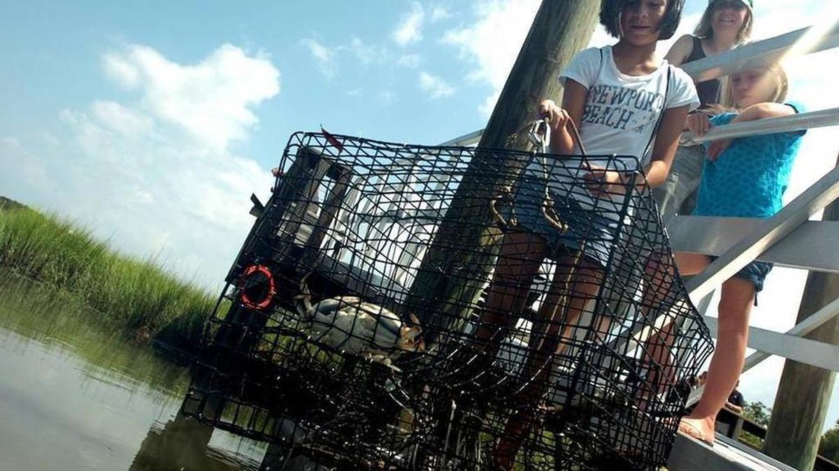 The Coastal Discovery Museum is a great place to take kids.