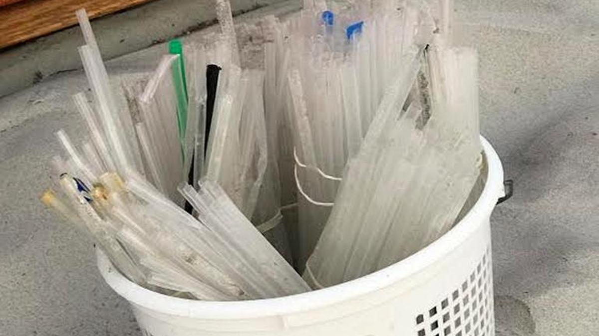 Marci Tressel’s bucket shows 12 days worth of straws she’s collected in front of Sea Pines Beach Club.