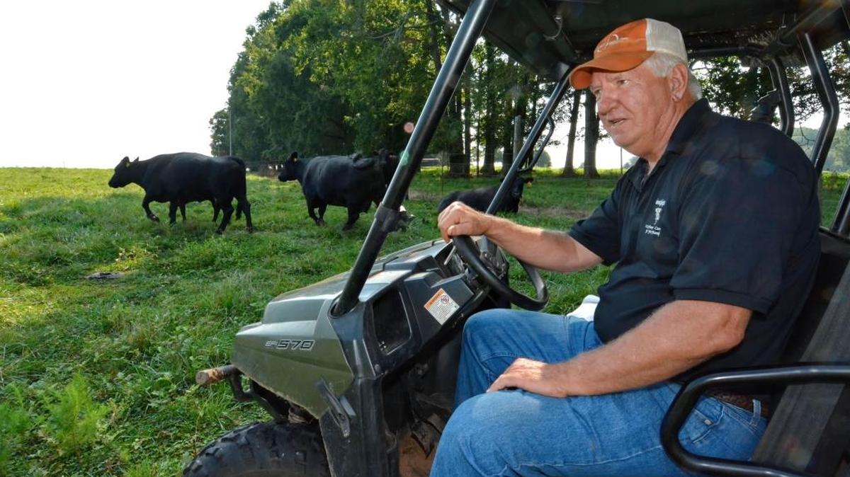 Former Clemson football coach Danny Ford works on his family farm in Pendleton in 2014.
