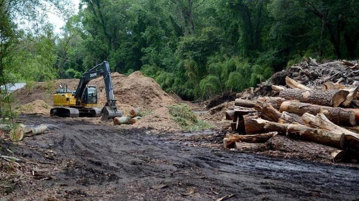 A view of the area where ArborNature grinds trees into mulch off of Leg-O-Mutton Road on Hilton Head Island as seen on Wednesday, May 18, 2016, from the road.