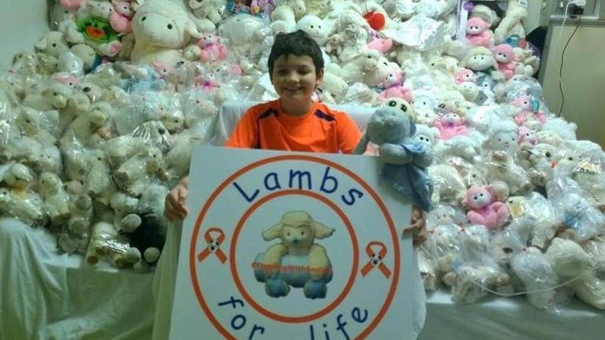 The late Alex Arrieta is shown in a photo posted on Twitter displaying the lambs he collected to give to other children fighting cancer.
